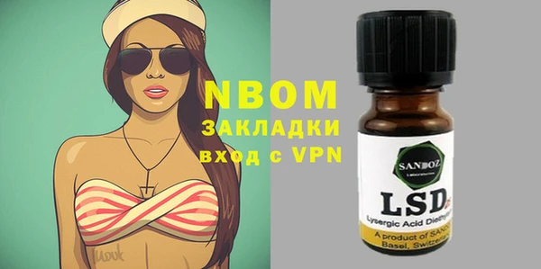 индика Сатка