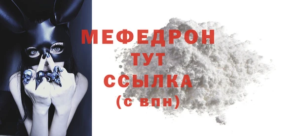 индика Сатка