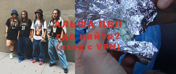 индика Сатка