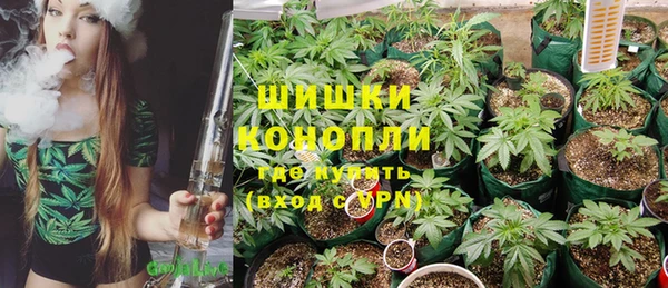 индика Сатка