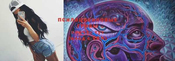 бошки Абдулино