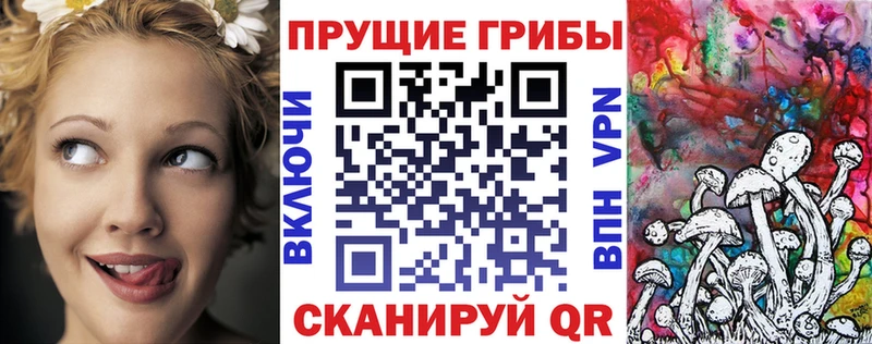 закладки  гидра   Галлюциногенные грибы Psilocybine cubensis  Анадырь 